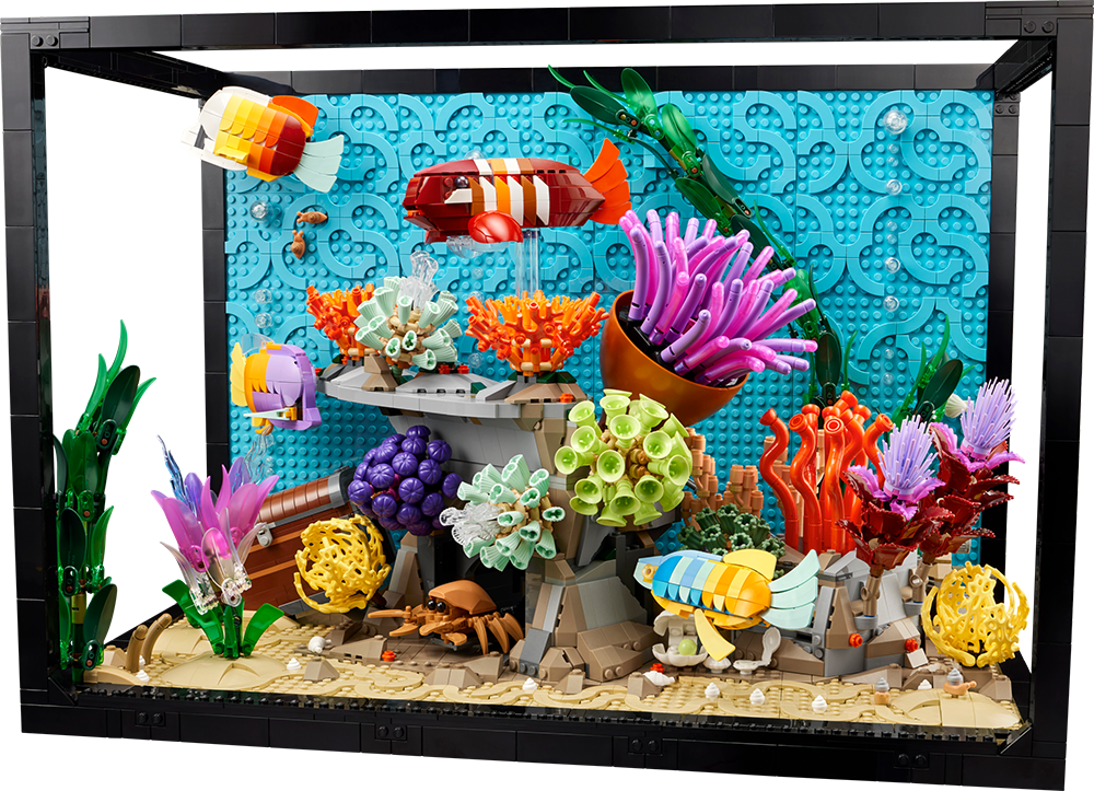 Lego aquairum met tropische vissen huren in de buurt van Gent